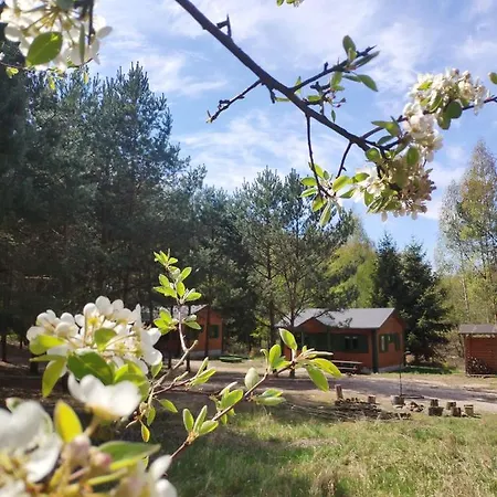 Oaza Ciszy I Spokoju Lodge Miedzychod