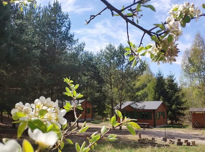 Oaza Ciszy I Spokoju Lodge Miedzychod